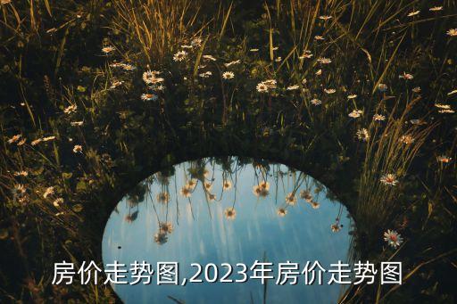 08房價(jià)走勢圖,2023年房價(jià)走勢圖...